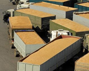 «Укрзалізниця» за вісім місяців перевезла майже 24 млн тонн зерна